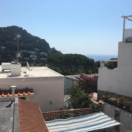 Apartment Regina Di - Dalmazio Birago -